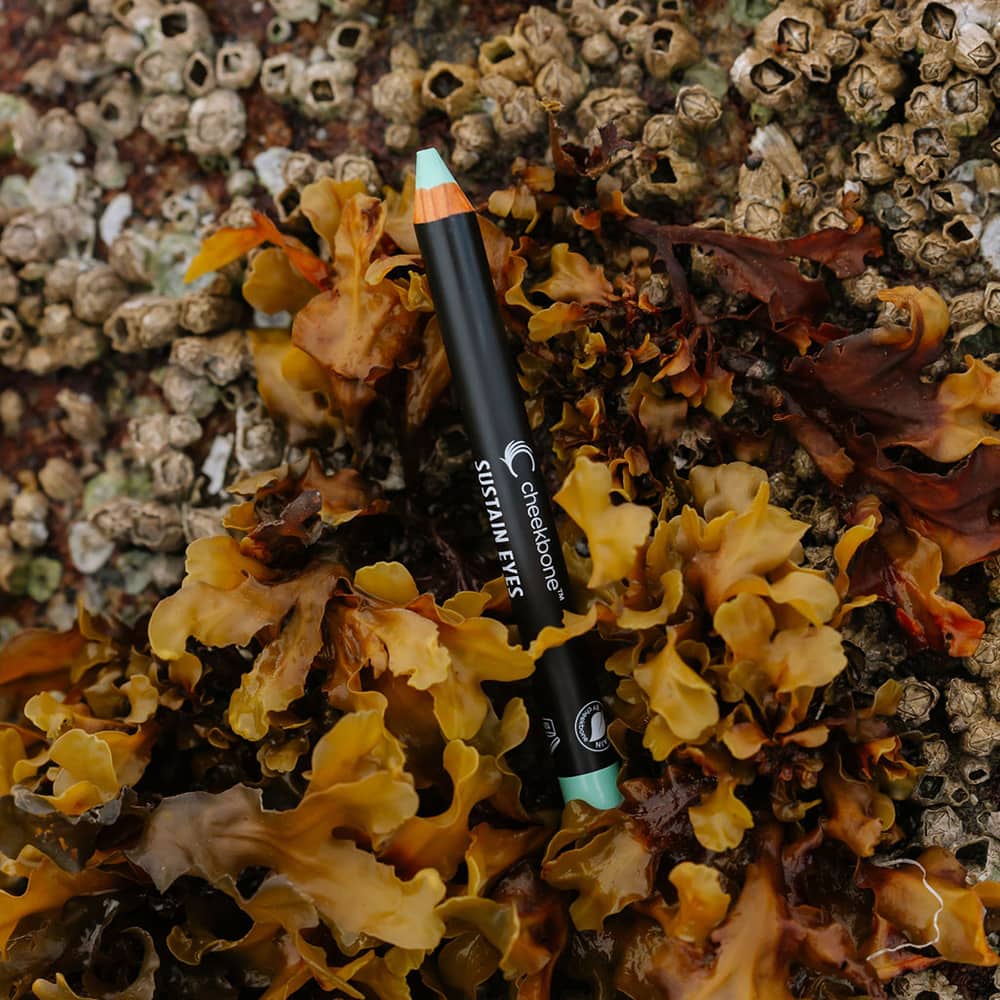 Fearless Eyeshadow