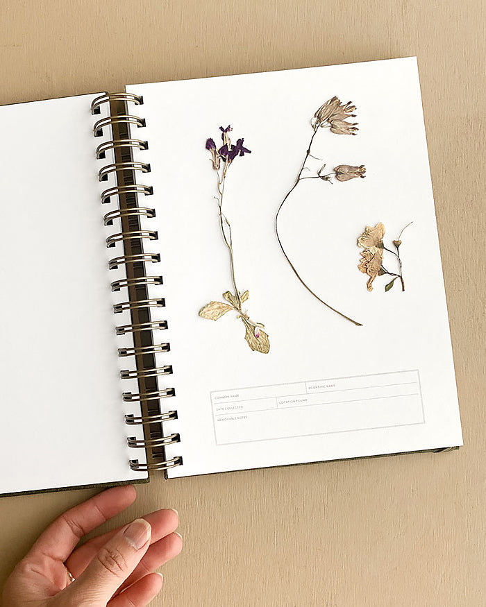 Herbarium Journal