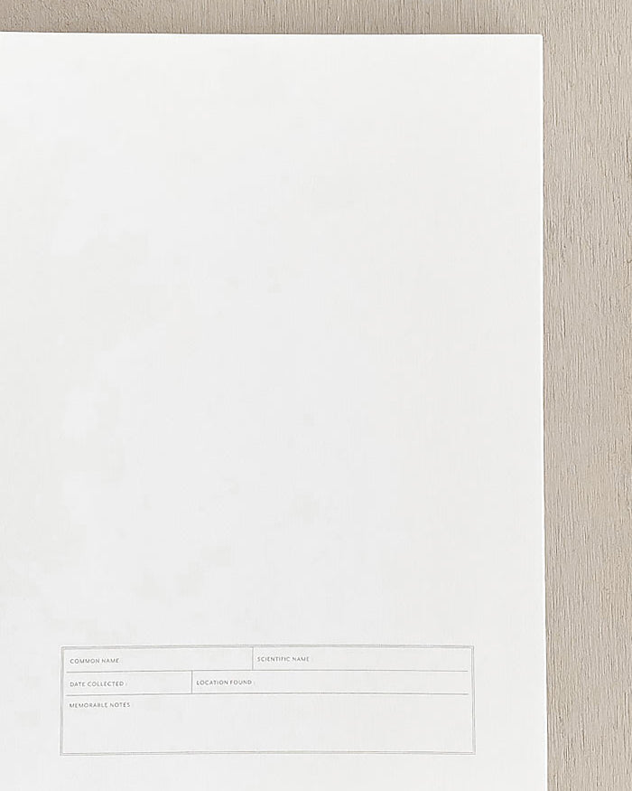 Herbarium Journal