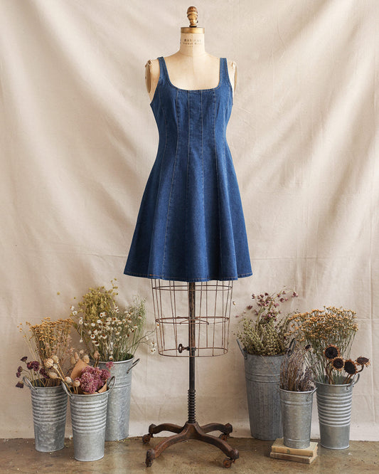 Angela Denim Dress