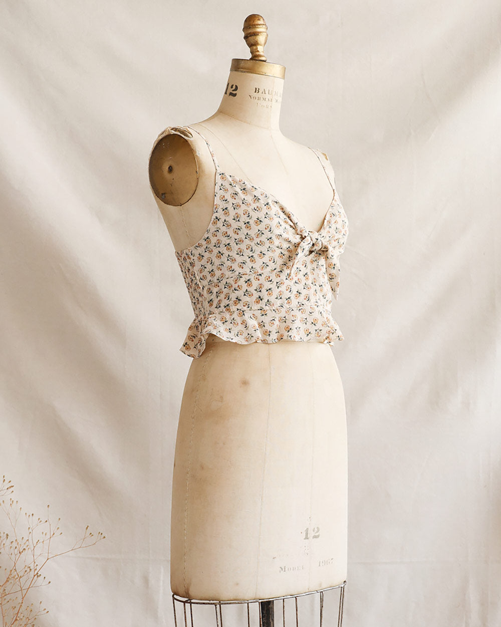 Wishing on a Dandelion Top